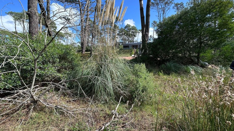 Lote en venta en La Reserva de Montoya